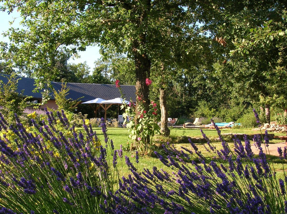La Villa Des Pins Verrieres  Exterior foto